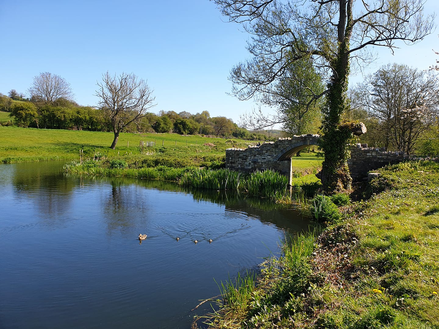 View of Paulton Basin and bridge to Dry Dock.