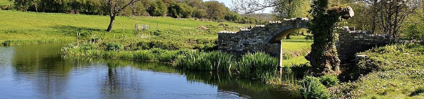 Paulton Basin and the Dry Dock bridge
