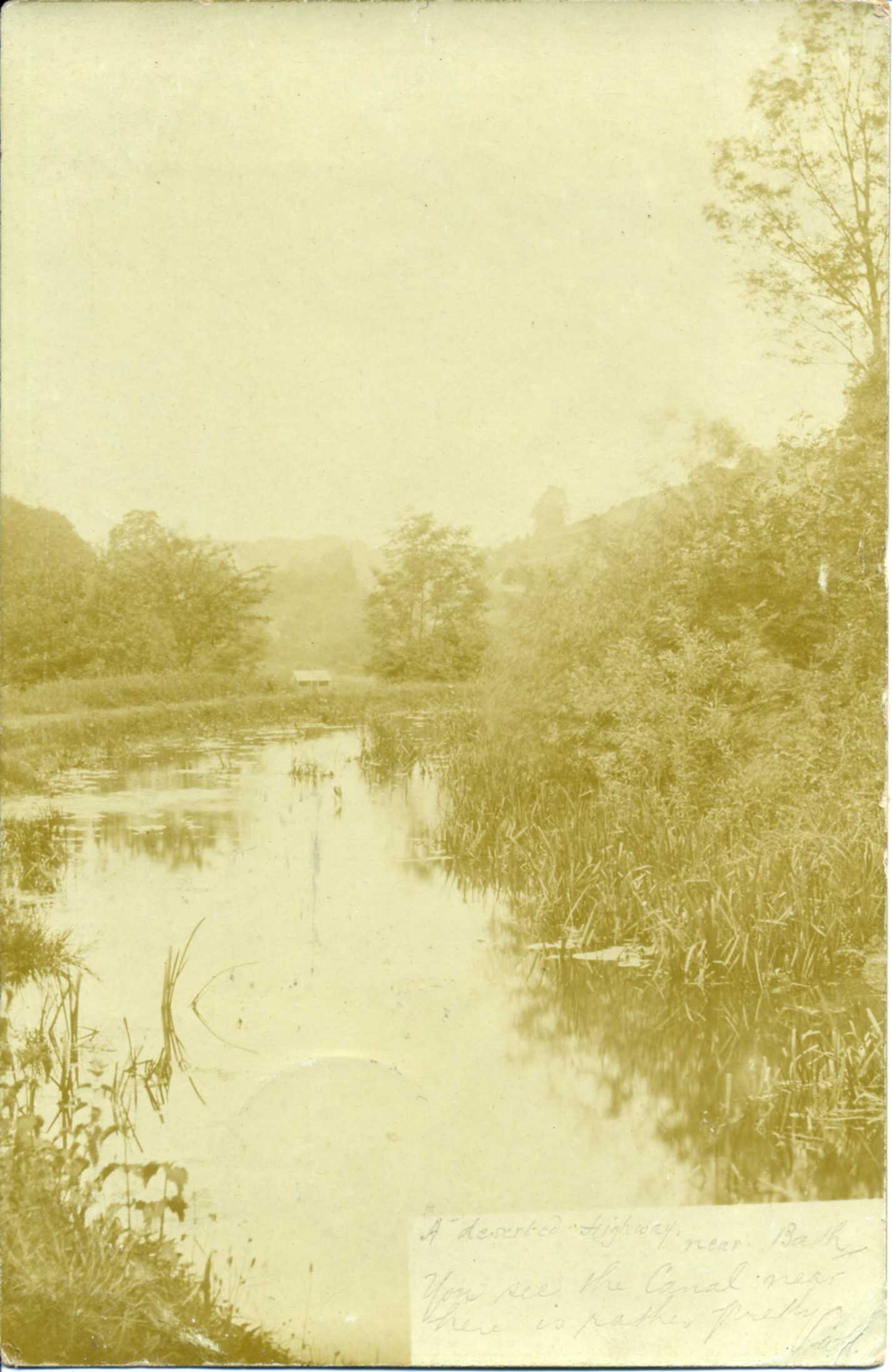 Roger's Continuing Pictorial Journey